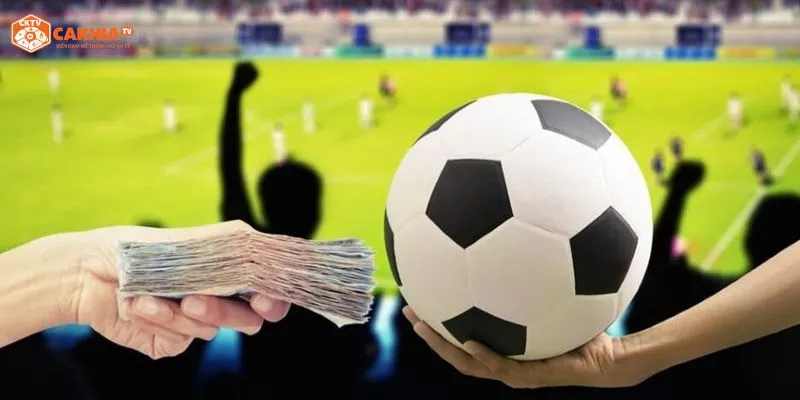 quyền lợi khách hàng về điều khoản